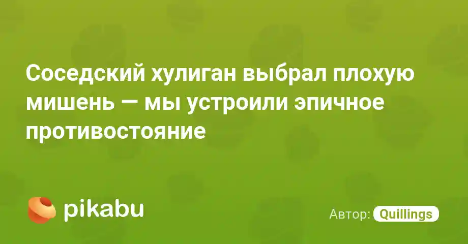 Соседский хулиган выбрал плохую мишень — мы устроили эпичное противостояние